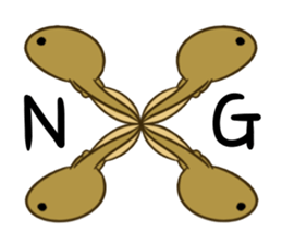 green frog and tadpoles sticker #13570925