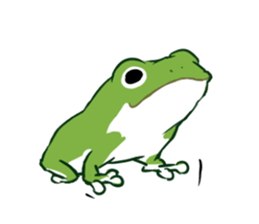 green frog and tadpoles sticker #13570926