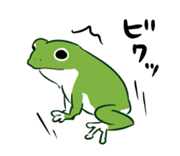 green frog and tadpoles sticker #13570927