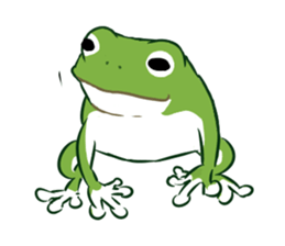 green frog and tadpoles sticker #13570928