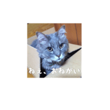 akiho