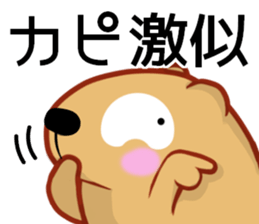 Kyapibara invective sticker #13572798