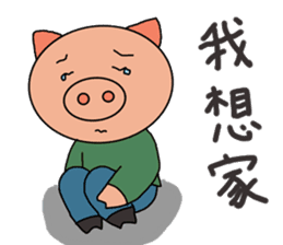 Chinese pig sticker #13572994