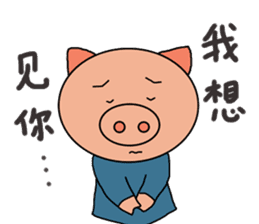 Chinese pig sticker #13573000