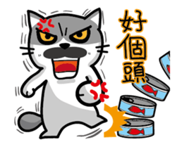 23Me + 23Meow-Moving sticker #13573095