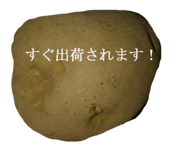 Opinion of potatoes sticker #13573281