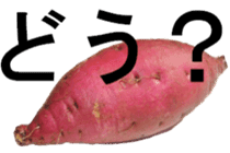 Sweet potato Nice to meet you sticker #13573329