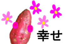 Sweet potato Nice to meet you sticker #13573338