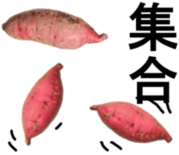 Sweet potato Nice to meet you sticker #13573342