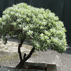 Beautiful landscape photos