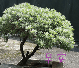 Beautiful landscape photos sticker #13573590