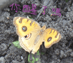 Beautiful landscape photos sticker #13573594