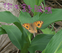 Beautiful landscape photos sticker #13573595