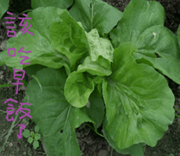 Beautiful landscape photos sticker #13573596