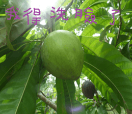 Beautiful landscape photos sticker #13573597