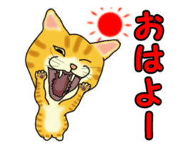 Move! Sticker of tiger cat sticker #13573854