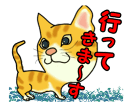 Move! Sticker of tiger cat sticker #13573859