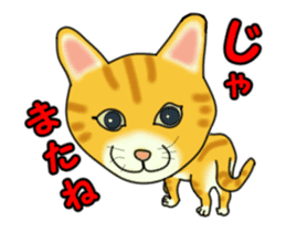 Move! Sticker of tiger cat sticker #13573861