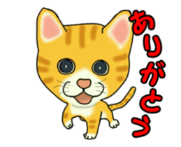 Move! Sticker of tiger cat sticker #13573866