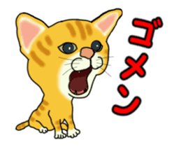 Move! Sticker of tiger cat sticker #13573870