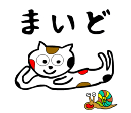 sticker japan cat5 sticker #13574150