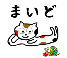 sticker japan cat5 sticker #13574150