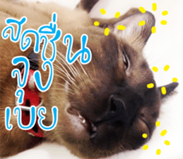 Mee Tung & OmAm sticker #13575167