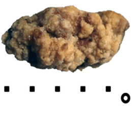 karaage sticker sticker #13577709