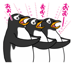 Gentoo Penguin Sticker Vol.3 sticker #13577975