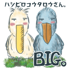 shoebill-taro.2BIG