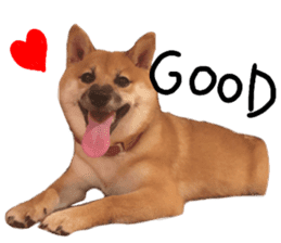 cause what's ANKO sticker #13578696