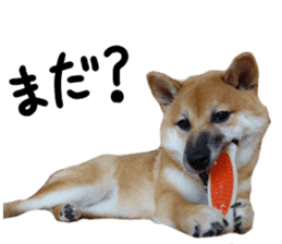 cause what's ANKO sticker #13578698