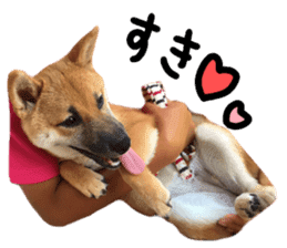 cause what's ANKO sticker #13578701