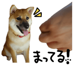 cause what's ANKO sticker #13578702