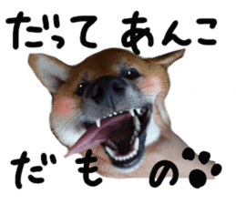 cause what's ANKO sticker #13578704