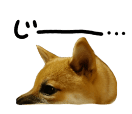 cause what's ANKO sticker #13578706