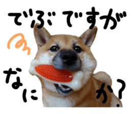 cause what's ANKO sticker #13578708