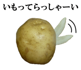 enjoyable potato sticker sticker #13579005