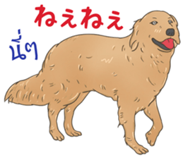 Thai Animals feeling sticker #13579438