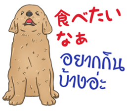 Thai Animals feeling sticker #13579444