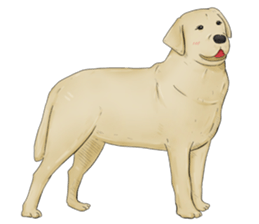 Thai Animals feeling sticker #13579448