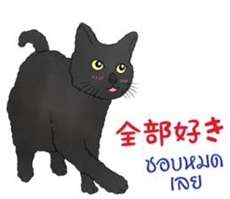 Thai Animals feeling sticker #13579452