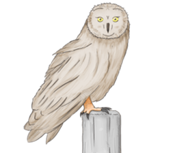 Thai Animals feeling sticker #13579458