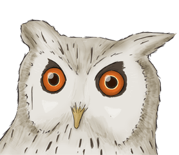 Thai Animals feeling sticker #13579459