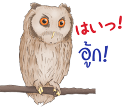 Thai Animals feeling sticker #13579460