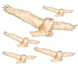 Thai Animals feeling sticker #13579462