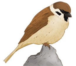 Thai Animals feeling sticker #13579464