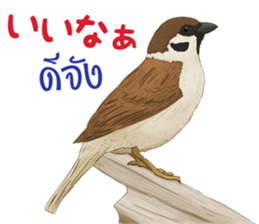 Thai Animals feeling sticker #13579465