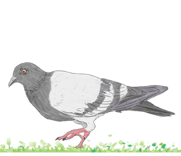 Thai Animals feeling sticker #13579468