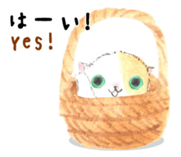 Three kittens of the watercolor sticker #13582769